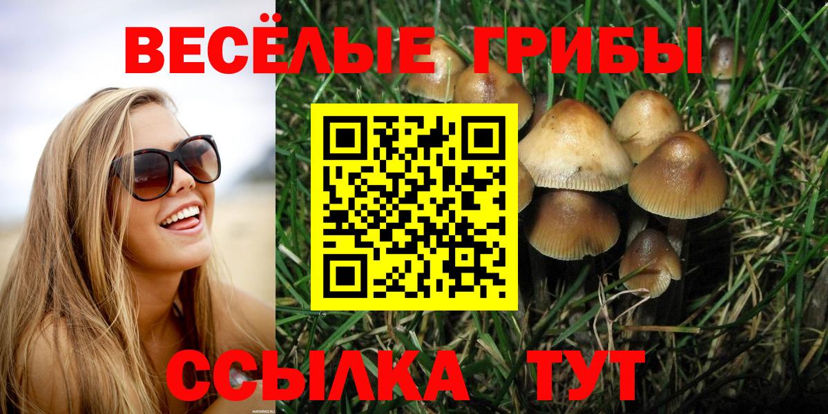 Псилоцибиновые грибы прущие грибы  Вход с VPN  Псилоцибиновые грибы MAGIC MUSHROOMS  Ликино-Дулёво 